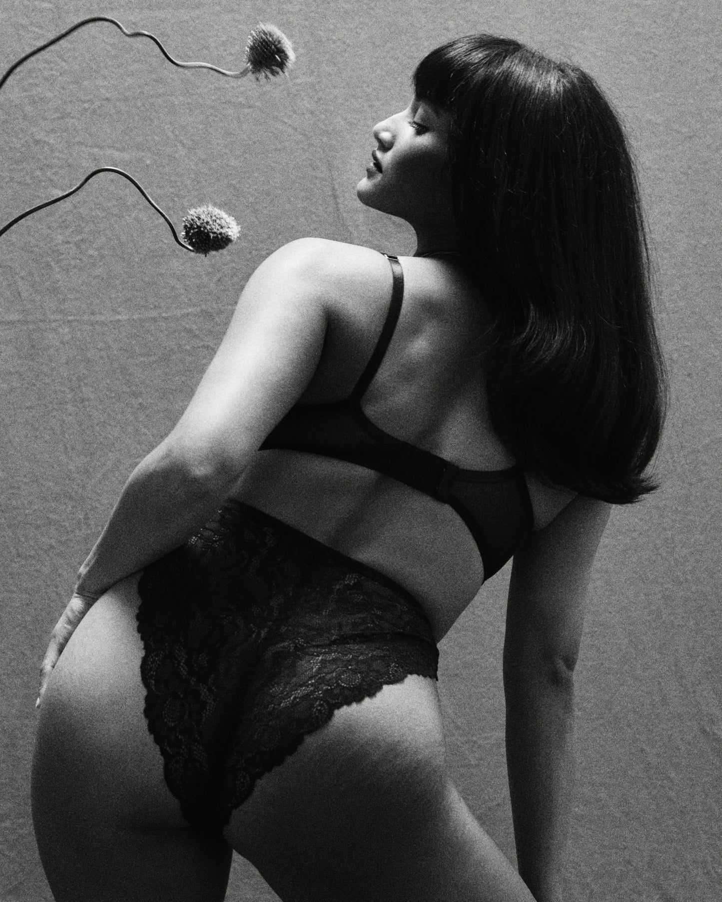 DORA PANTIES - BLACK LACE